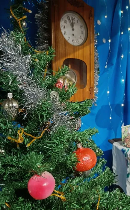 photo_2025-12-30_11-27-19