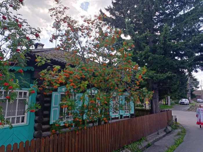 гл