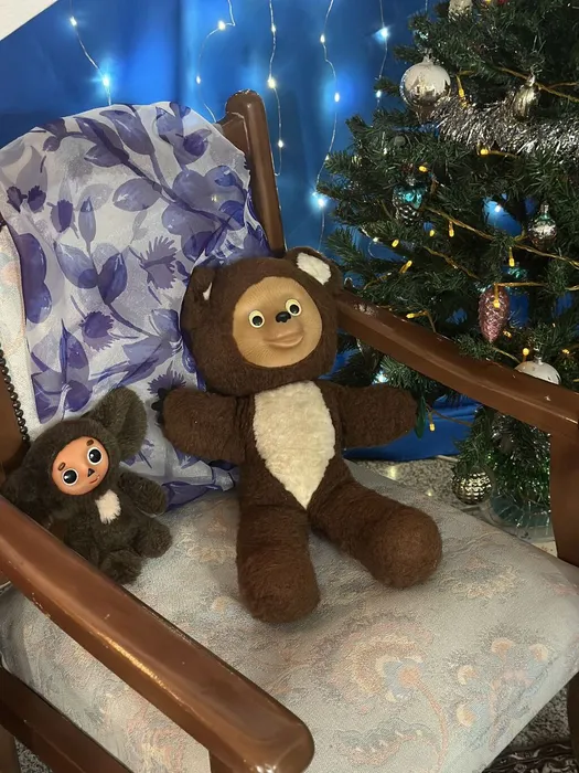 photo_2025-12-30_11-28-19