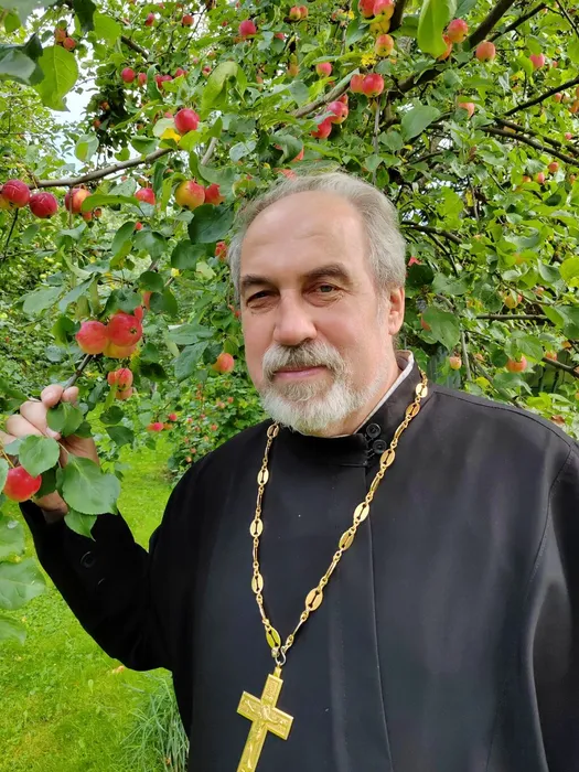 Н.А. Толстиков